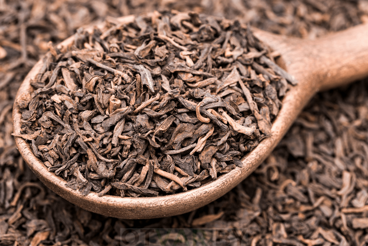 a-est-li-vred-puer
